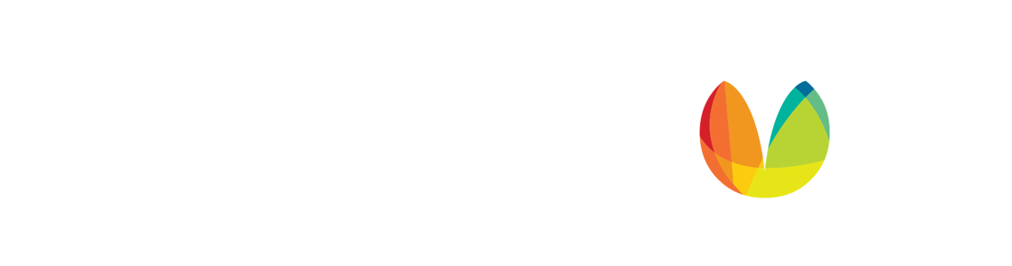 Incisio